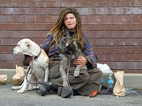 national best friends day homeless woman with dogs