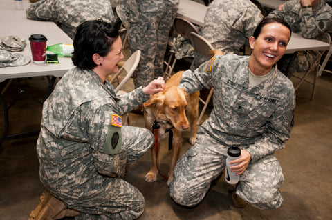 mans best friend military women with dog