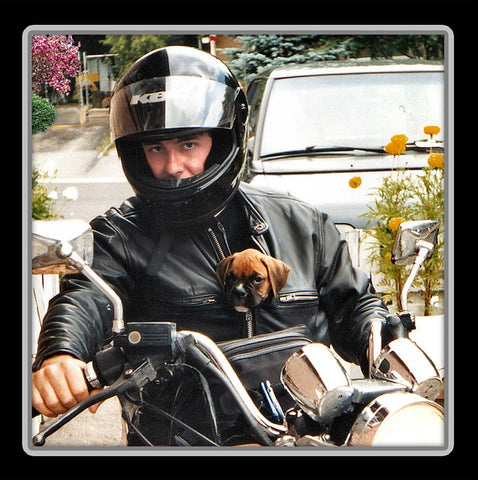 mans best friend man riding motorcycle with dog