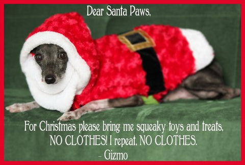 Funny Christmas / Dog Memes! [IMAGES]- SportLeash