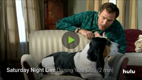 hilarious dog video dissing your dog will ferrell saturday night live skit