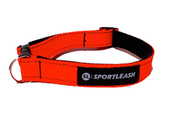 sportleash sportcollar sport dog collar orange dog collar