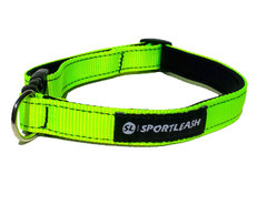 sportleash sportcollar sport dog collar neon dog collar
