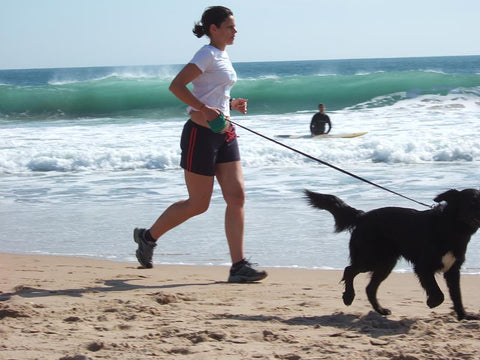 running with your dog walking your dog
