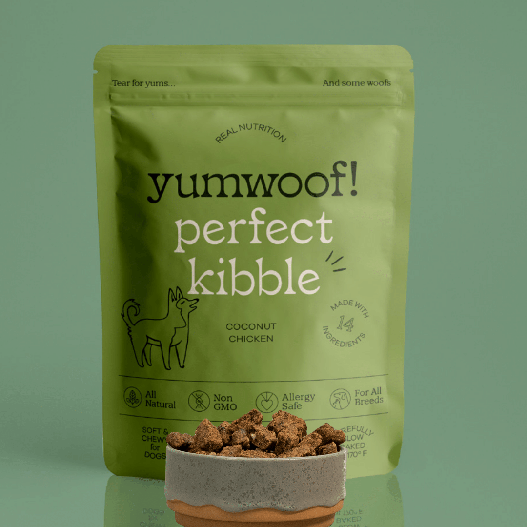 a good natural dog food