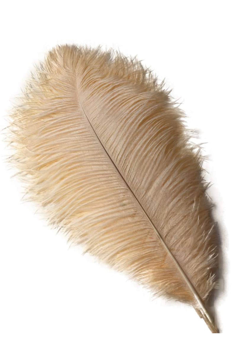 peach ostrich feathers