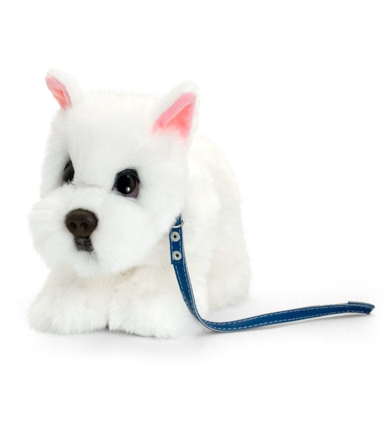 puppy on a lead toy