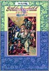 Image for Soldnerschild Official Guide Book / Ss