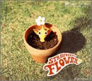 Image 1 for Song of Love / Strawberry Flower