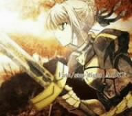 Image 1 for Fate/stay night A.OST