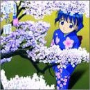 Image 1 for Ai yori Aoshi Aiao Otoban Ichi "Sakura"