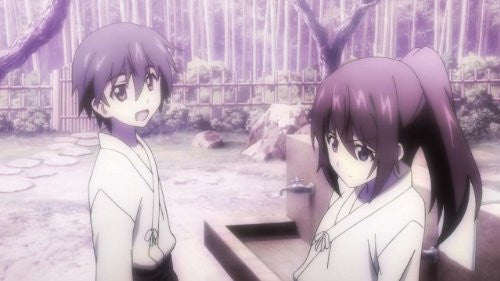 Image 4 for Is Infinite Stratos Vol.6