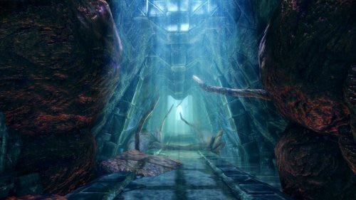 Dragon Age Origins: Awakening