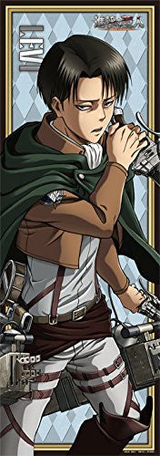Image 1 for Shingeki no Kyojin - Levi - Clear Poster - Long Poster - Poster (Broccoli)