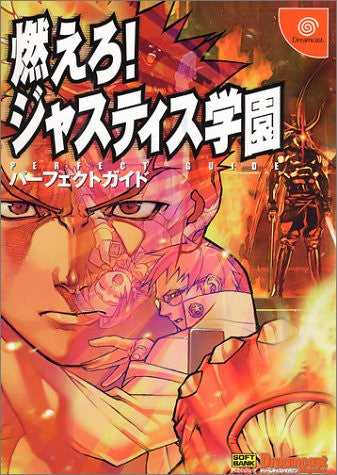 Image for Project Justice Perfect Guide Book / Dc