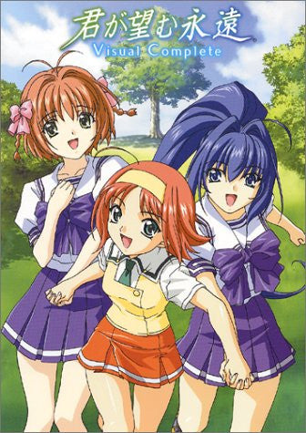 Image for Kimi Ga Nozomu Eien Visual Complete Book