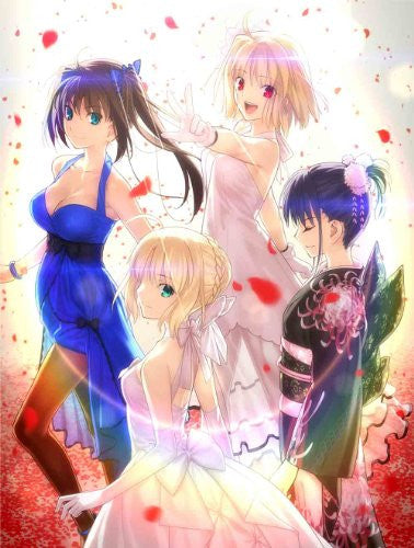 TYPE-MOON Fes. セイバー B0タペストリー fate | www.nov-ita.fr