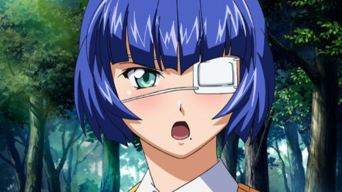 Image 6 for Ikki Tosen / Battle Vixens Great Guardians DVD Box