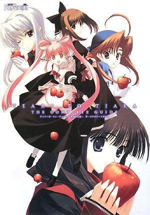 Image 1 for Tears To Tiara: Kakan No Daichi Complete Guide