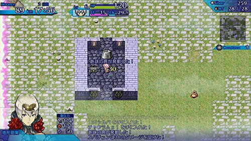 Image 4 for Fushigi no Chronicle: Furikaerimasen Katsu Madewa