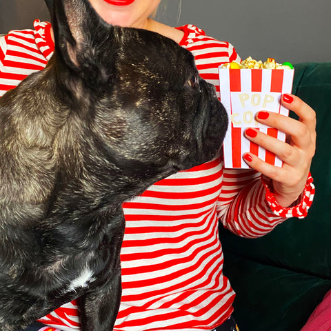 Dog trying to steal popcorn