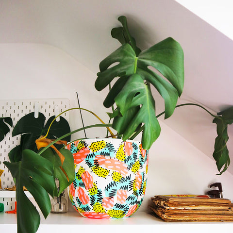 Monstera-Delicosa-Colourful-Pot