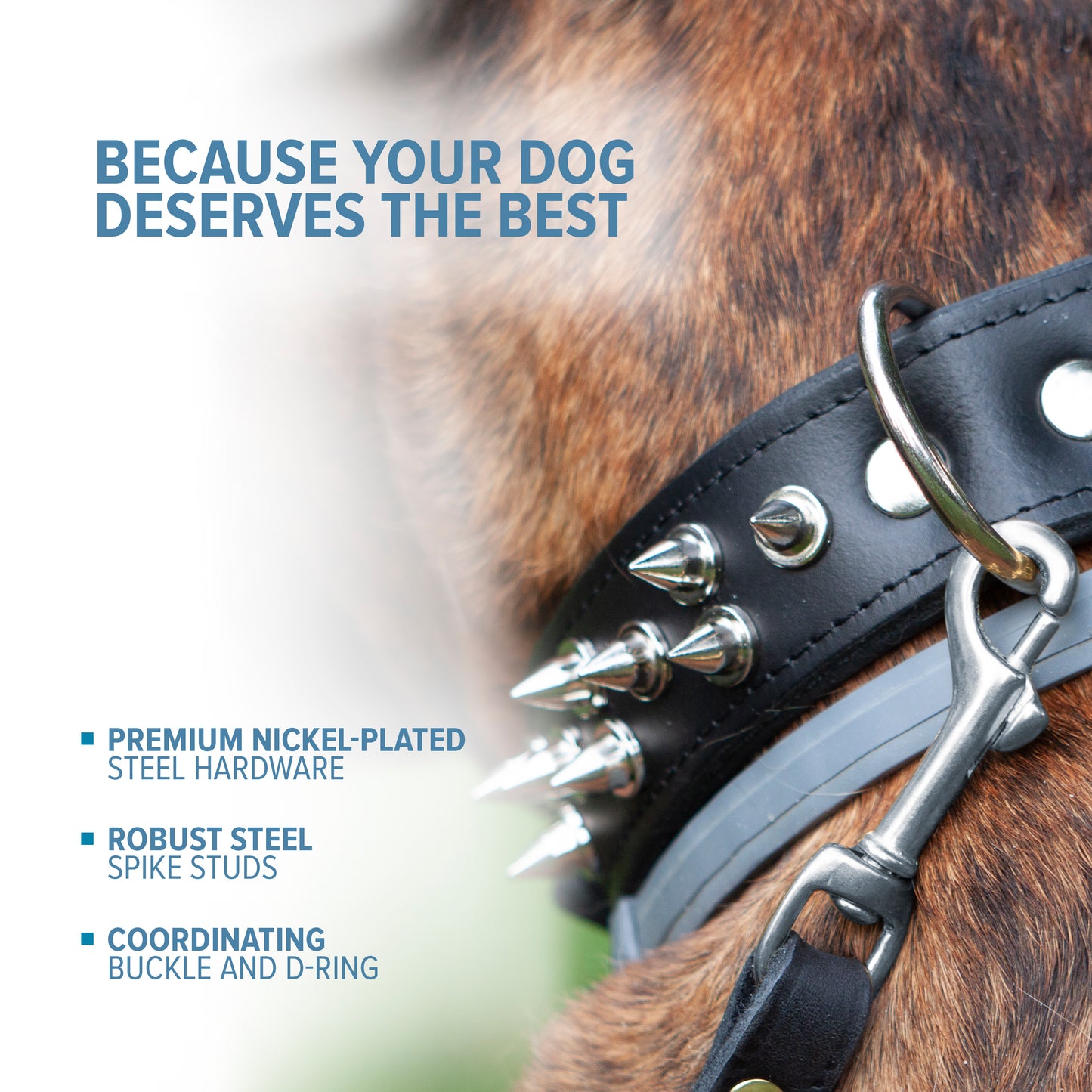 extra strong dog collar, collar