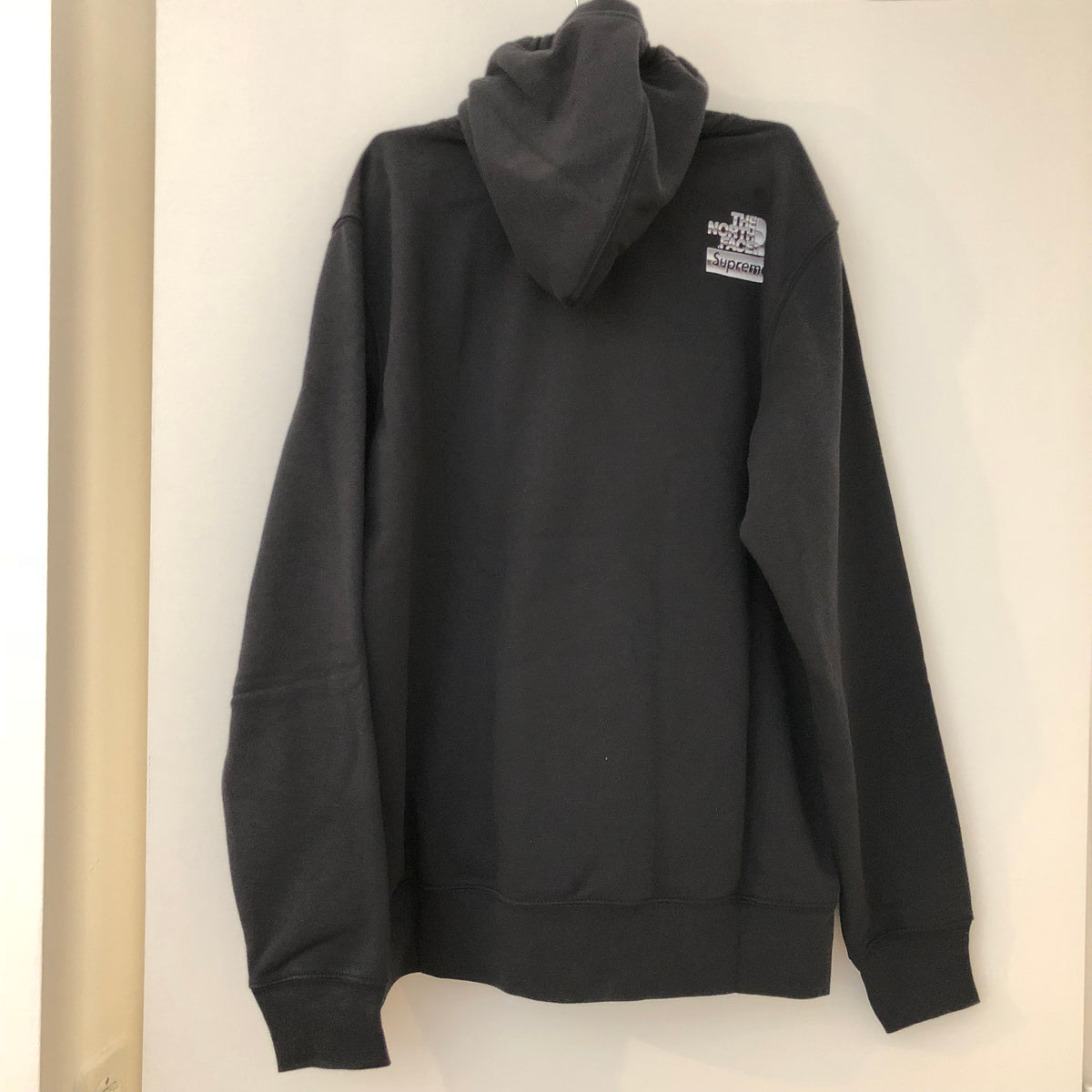 Supreme x The North Face Metallic Logo Hoodie – Fancy Lux