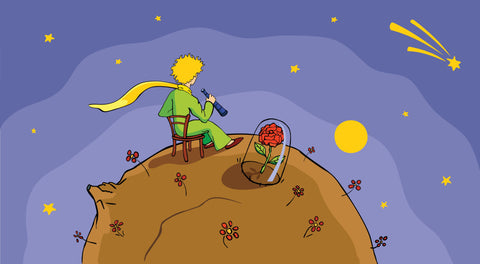 The Little Prince by Antoine de Saint-Exupéry  Portuguese Language