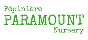 Paramount Nursery Inc.