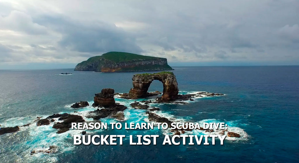 Reasons To Learn To Scuba Dive - Bucket List Activity