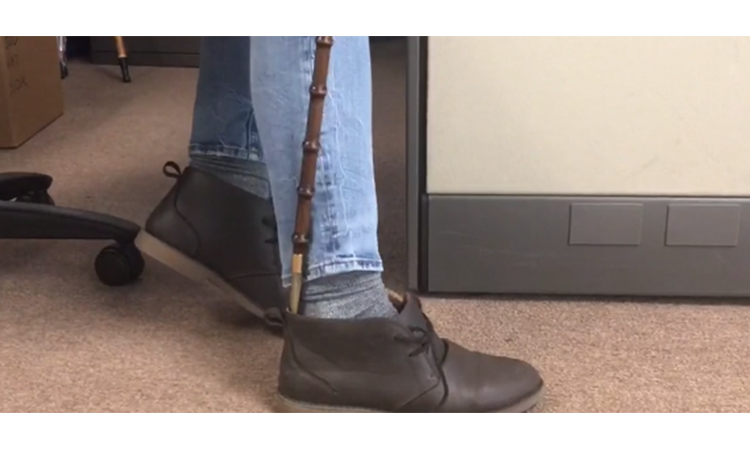 Exclusive Royal Canes Shoe Horns