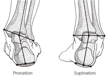 Pronation and supination - the correct fit and correct model of Meindl boot can correct this problem