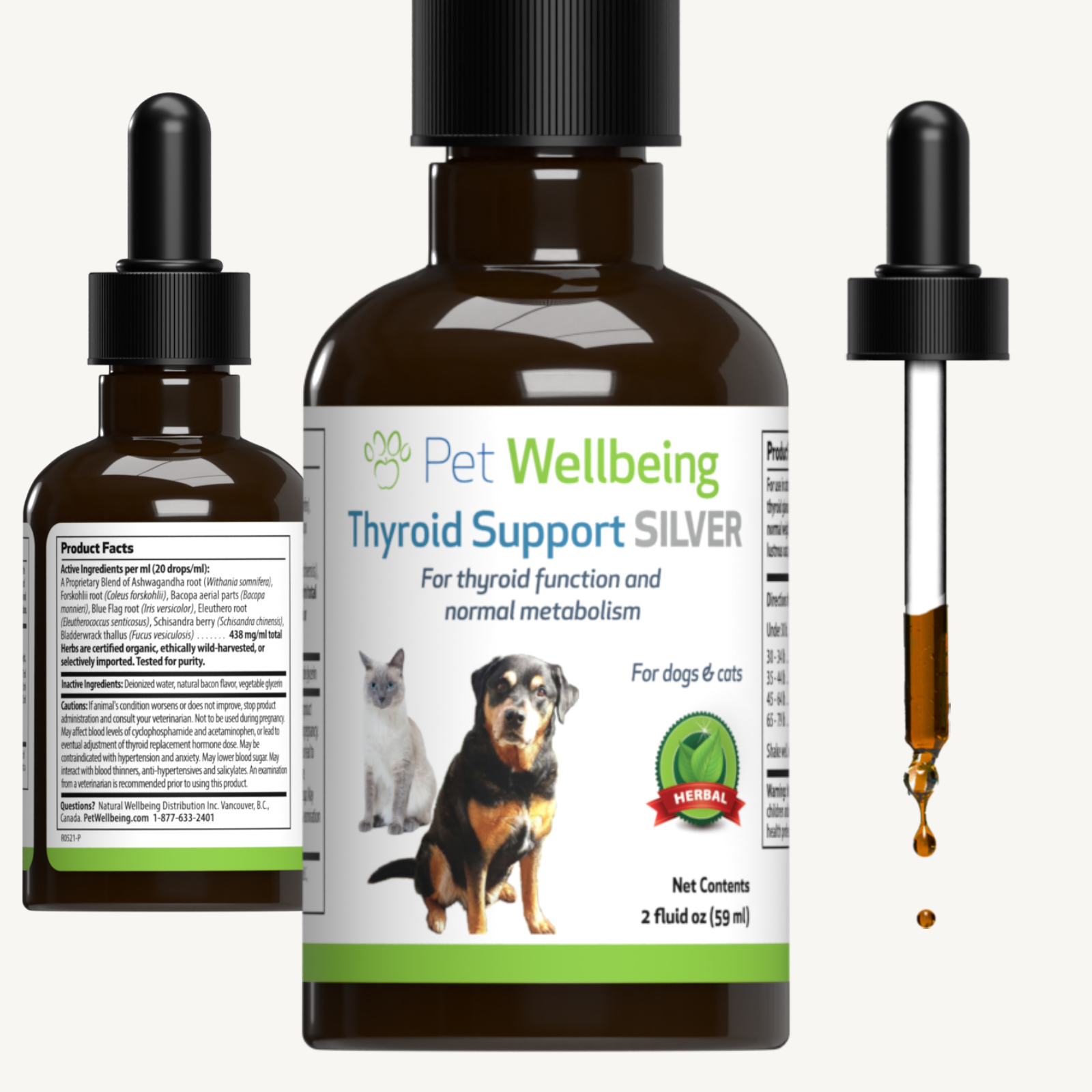 what should a dogs thyroid level be