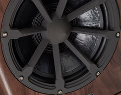 Closeup of 12-inch woofer