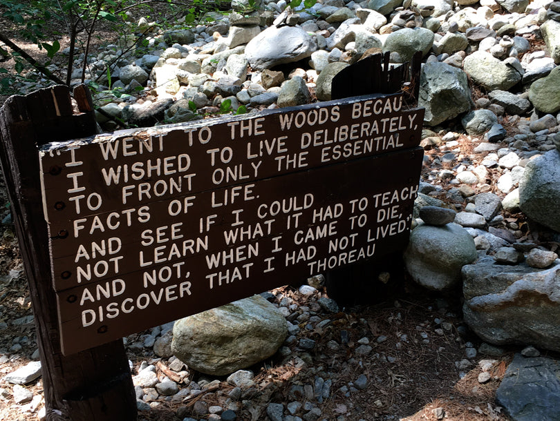 Sign at Original Site of Thoreau's Cabin | Smudge Ink