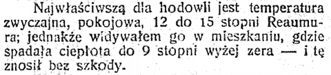 Najwłaściwszą do hodowli jest temperatura zwyczajna, pokojową, 12 do 15 stopni Reaumura; jednakże widywałem go w mieszkaniu, gdzie spadała do 9 stopni wyżej zera- i tę znosił bez szkody. {...} Słój z grzybem trzeba nakrywać albo tekturką, albo kawałkiem papieru czystego, czemś przyciśniętego, żeby nie leciał za lada powietrzem. Przez takie nakrycie uchronimy grzyb od kurzu i owadów