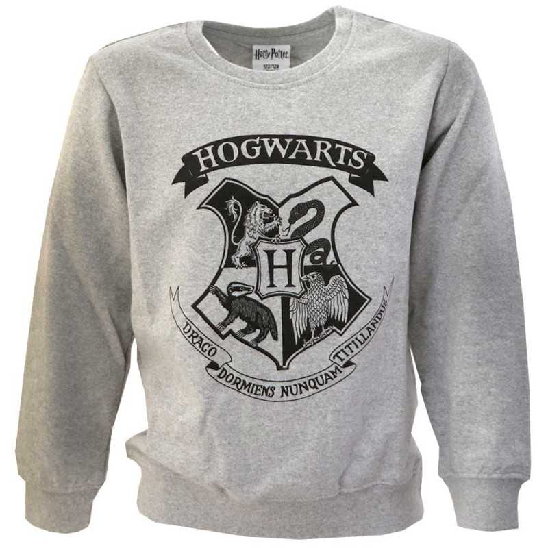 Zweet badge Structureel Sweatshirt / trui Harry Potter – DaRu-Deals