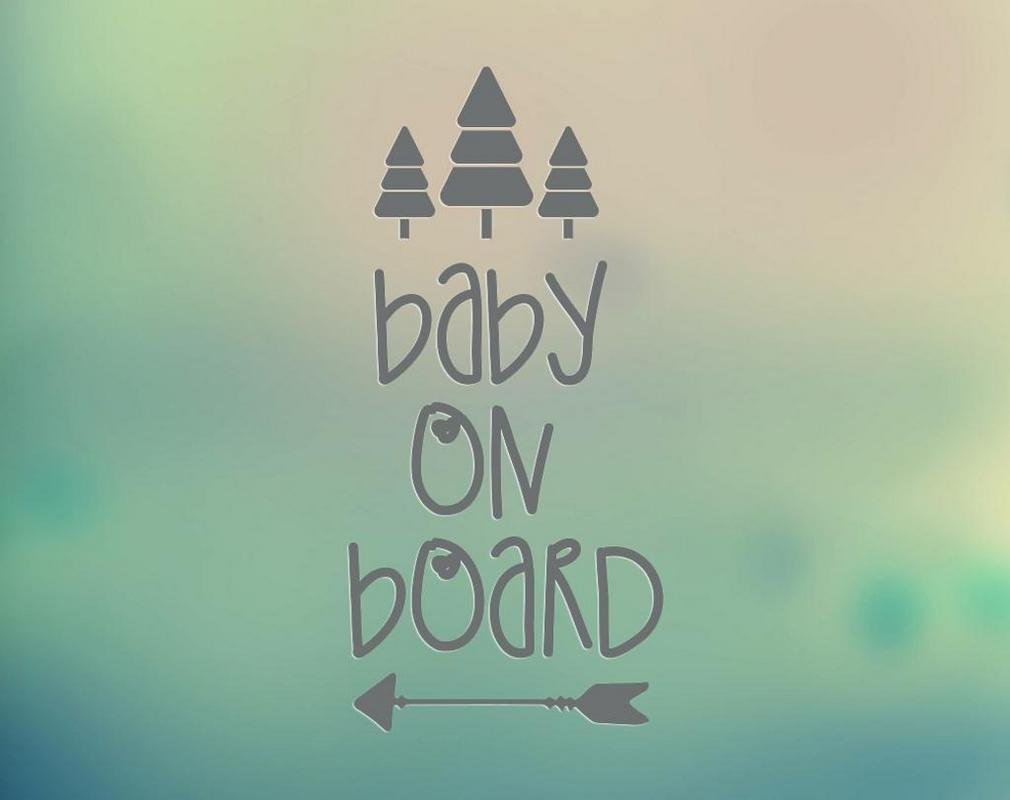 vans baby on board sticker