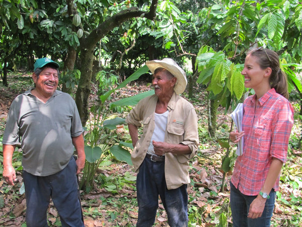farmers and chocolate makers in the cacao farm plantation