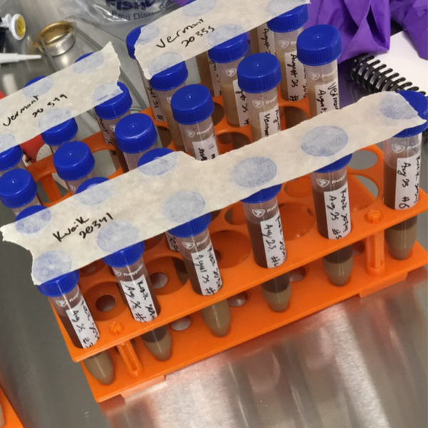 Liquid yeast shelf life How do we measure up? Escarpment Labs