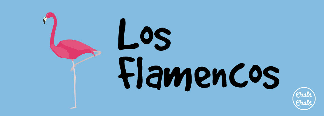 Santuario de Flora y Fauna en Colombia: Los Flamencos
