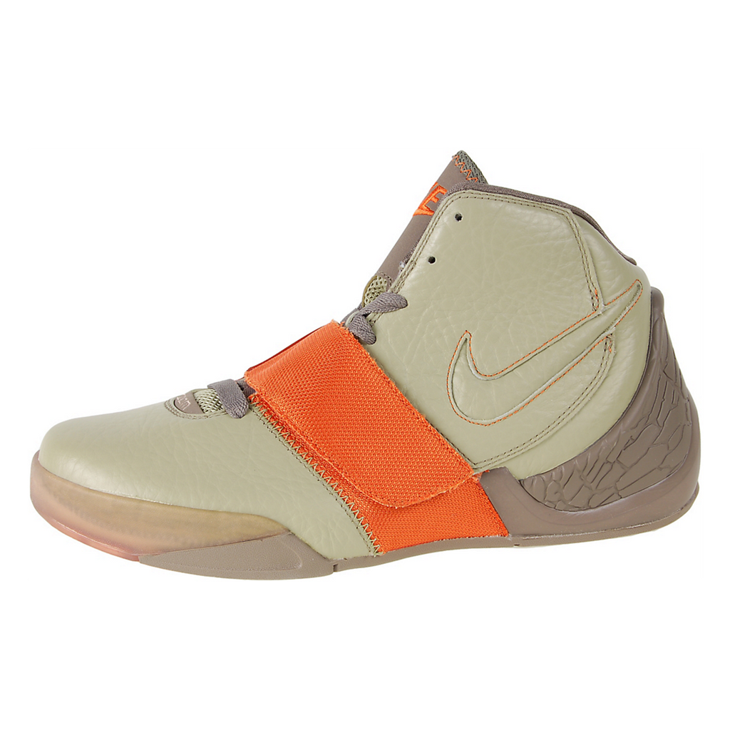 nike flight dunk hoop