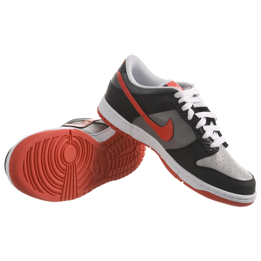 Nike Dunk Low 6.0 Jr (Kids) 429661001