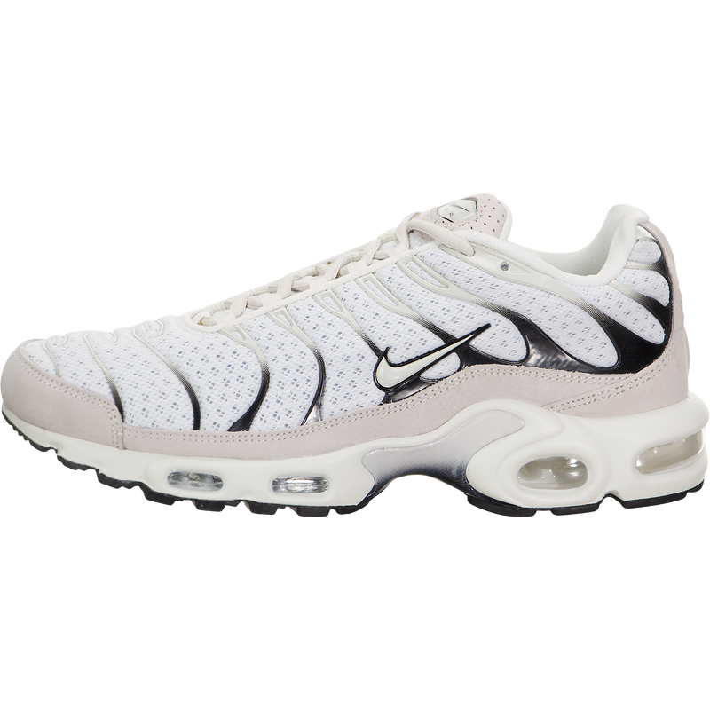 nikelab air max plus