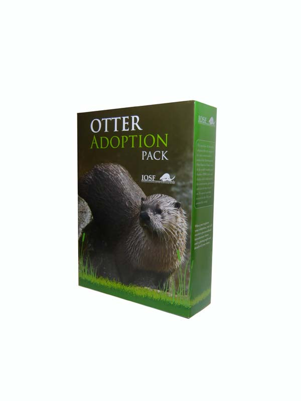 Adopt an Otter and other ways to support IOSF – IOSF Otter Shop