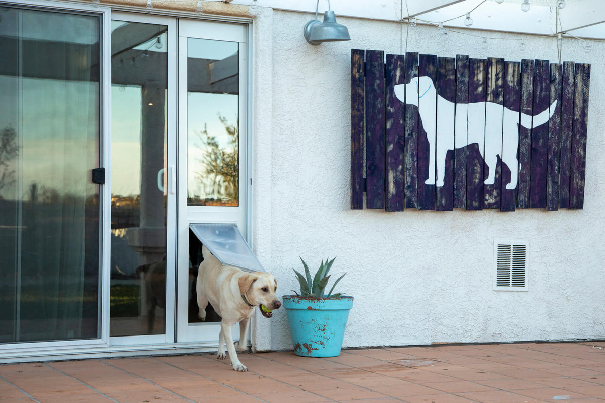 7 Steps on How to Install a Dog Door in a Sliding Glass Door