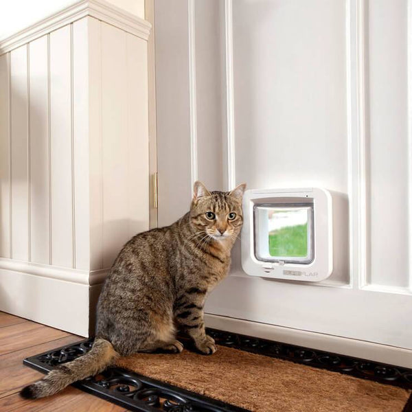5 Differences Between the SureFlap Microchip Door & the Cat Mate 305 Cat Door