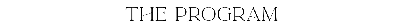 THE PROGRAM