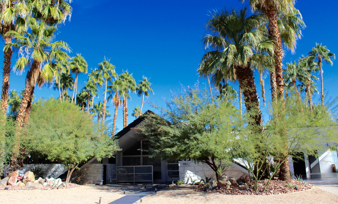 The Lodge Exterior